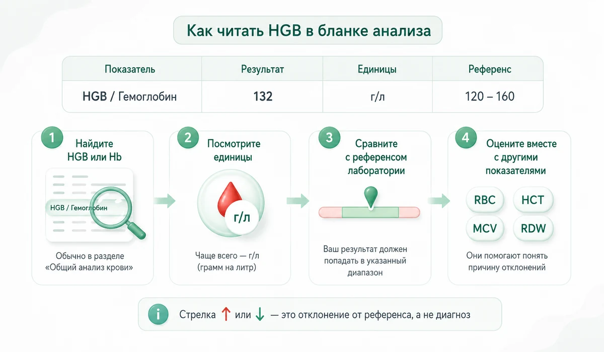 Как читать показатель HGB в бланке общего анализа крови